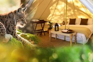 Postel nebo postele na pokoji v ubytování Cocoon Village - Glamping - Domaine des Grottes de Han