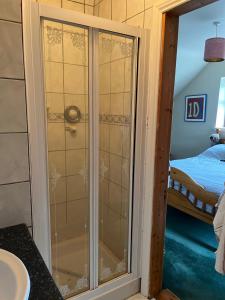 a glass shower in a bathroom next to a bed at Strand Awaits Holiday Home in Cork