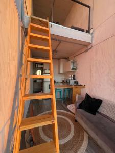 a ladder in a room with a bunk bed at Almar de Matanzas Tiny in Boca Pupuya