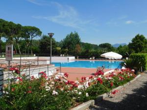 a swimming pool with flowers in a garden at Lato soleggiato @Gardazzurro in Padenghe sul Garda