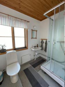 ein Bad mit einer Dusche, einem WC und einem Waschbecken in der Unterkunft Ateljéstugan med magisk utsikt in Nordingrå
