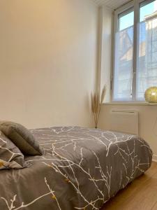 een bed in een witte kamer met een raam bij Joli appartement au coeur de ville in Château-Thierry