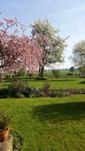 un árbol con flores rosas en un campo de hierba en Fewo Wolf, en Einbeck