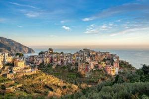 a town on a hill near the ocean at Perla del Marinaio in Riomaggiore