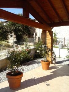 dos macetas de plantas sentadas en un patio en B&B Gigetto, en Pescantina