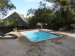 a swimming pool in front of a thatched house at Balule Bushveld Safari Lodge in Phalaborwa