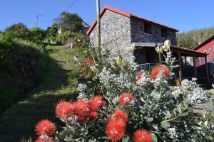 Gallery image of Recantos do Castanheiro in Porto Moniz