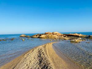 Príroda v okolí luxusného stanu