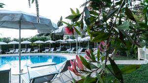 piscina con sedie e ombrellone di Lifestyle Luxury Suite - Your Frame Over the Sea - Suite Livorno Holiday Home a Livorno
