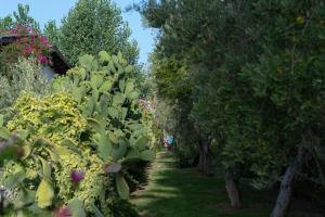 Φωτογραφία από το άλμπουμ του Vascellero Club Resort σε Cariati