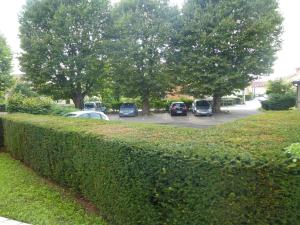 Zahrada ubytování Hotel Agena Hagondange