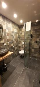 a bathroom with a shower and a toilet and a sink at Boutique Hotel Alpen Lodge Berwang in Berwang