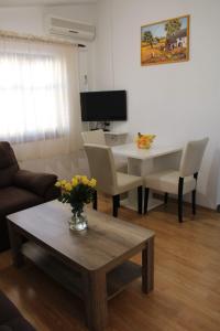 TV a/nebo společenská místnost v ubytování Apartments Renata