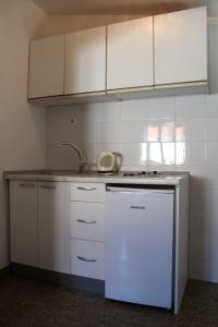 Kuchyň nebo kuchyňský kout v ubytování Apartments Renata