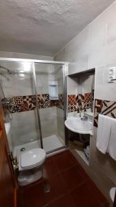 a bathroom with a shower and a toilet and a sink at Casa da Avó Vitória in São Pedro do Corval