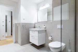 a bathroom with a toilet and a sink and a shower at Ferienapartments am Krusespeicher Ferienapartments am Krusespeicher 3-25 in Wismar +14 photos