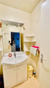 baño con lavabo y una persona que toma una foto en un espejo en Résidence Le mont Dore 2 étoiles, en Le Mont-Dore