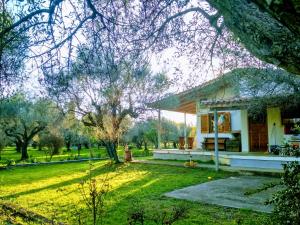 Ogród w obiekcie Nafpaktos cottage by the sea for travelers and dreamers!