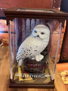 an owl is sitting in a glass case at Harry Potter Studio à Blois in Blois