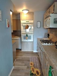 een keuken met witte kasten en een fornuis met oven bij Farmhouse attached apartment in Old Mill Creek
