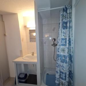 uma casa de banho com um lavatório e uma cortina de chuveiro em LE COMMERCE em Pont-sur-Yonne