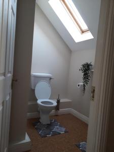 a bathroom with a white toilet with a skylight at 4 bedroom home by the sea in Cork
