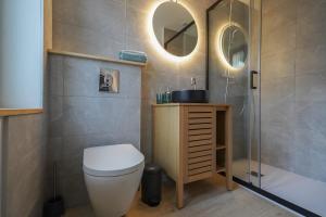 ein Badezimmer mit Toilette, Waschbecken und Dusche in der Unterkunft La Villa Bérénice - "Le Duplex" en coeur de ville in Saint-Amand-les-Eaux