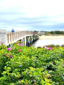 un puente sobre un cuerpo de agua con flores rosas en Ocean Acres Ogunquit, en Ogunquit