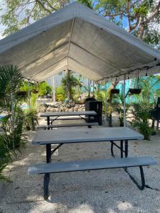 a picnic table under an umbrella on a sunny day at Hoosville Hostel (Formerly The Everglades Hostel) in Florida City