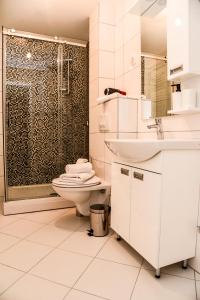 La salle de bains est pourvue de toilettes, d'un lavabo et d'une douche. dans l'établissement Suncokret Apartmani Loznica, à Loznica