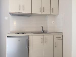 Kuchyň nebo kuchyňský kout v ubytování Seaside Apartments Flogita