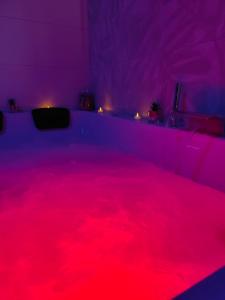 a room with a tub filled with red dye at Gite Romantique avec Espace Balnéo et Ciel Etoilé "La Maison du Bonheur Saint Germer de Fly" Nuit Romantique Oise, Picardie, Normandie in Saint-Germer-de-Fly