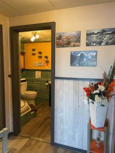 ein Badezimmer mit einem WC und einem Blumentopf in der Unterkunft Hébergement La Belle Époque in Saint Come