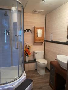 a bathroom with a shower and a toilet and a sink at Hébergement La Belle Époque in Saint Come