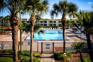 
a beach with palm trees and palm trees at Seralago Hotel & Suites Main Gate East in Orlando
