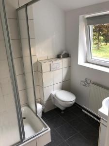 a bathroom with a toilet and a shower and a window at Stedinger Landhotel & Café in Berne