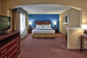 ヒューストンにあるホリデイ イン エクスプレス ホテル ＆ スイーツ ヒューストン ダウンタウン コンベンション センターのベッド1台、薄型テレビが備わるホテルルームです。