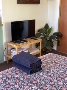 a living room with a television and a table with towels at The Fingal Farm in Fingal