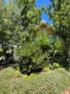 a house with trees and plants in the yard at The Fingal Farm in Fingal