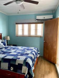 ein blaues Schlafzimmer mit einem Bett und einem Deckenventilator in der Unterkunft Dawson’s Hideaway in Nassau