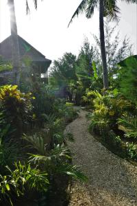 カリムンジャワにあるBasa-basi Lodgeの椰子の木や植物が生い茂る庭園を通る小道