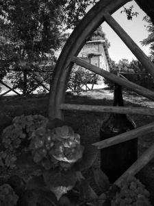 a window with a bunch of flowers and a bottle at Agriturismo Montesalce in Gubbio