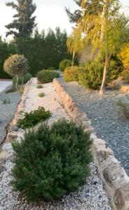 a garden with plants on a gravel road at Villa Anna Maria in Coral Bay