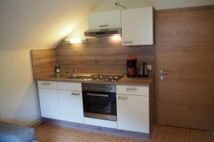 Köök või kööginurk majutusasutuses Ferienwohnung Fürstenbrunn