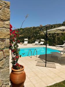 a vase with flowers in it next to a pool at Residence Mersa in Brolo