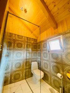 a bathroom with a toilet and a shower at Chalet Sejalec in Lesce