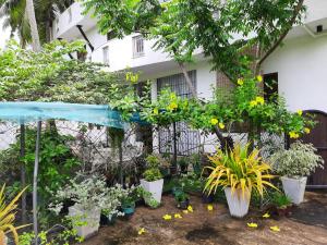 Gallery image of South Beach Cottage in Induruwa