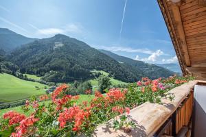 Paesaggio naturale nelle vicinanze dell'appartamento