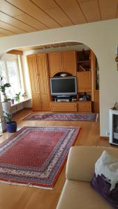 沙夫豪森的住宿－Schaffhausen Munot，一间带电视和地毯的客厅
