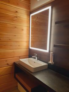 a bathroom with a sink and a mirror at NaturparkResort Xeis Natur Apartments in Johnsbach